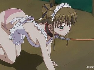 Submissive anime hustler gets curiously fucked indoors